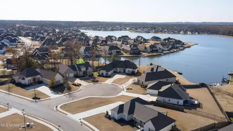 View/Area - 102 Camden Vale, Madison, MS 39110 photo 2 of 3