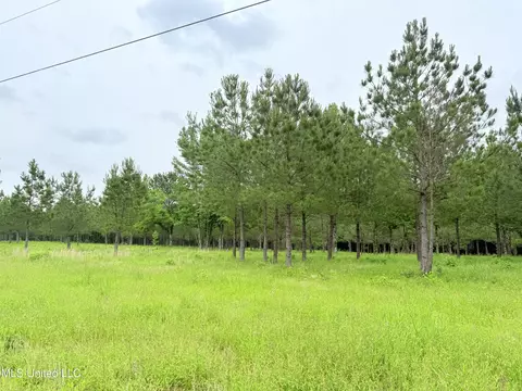 Stout Farms Drive, Madison, MS 39110