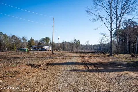 356 Permenter Rd, Carthage, MS 39051 photo 31