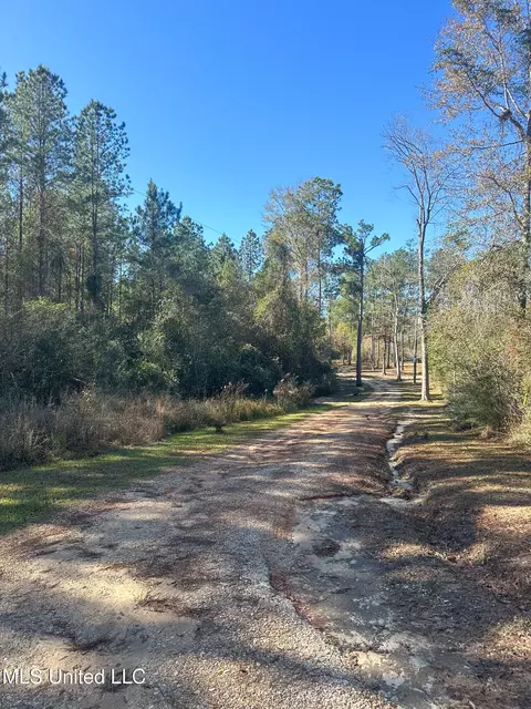 1224 Country Hill Rd # A, Lucedale, MS 39452 photo 22