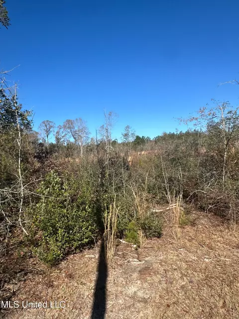 1224 Country Hill Rd # A, Lucedale, MS 39452 photo 20