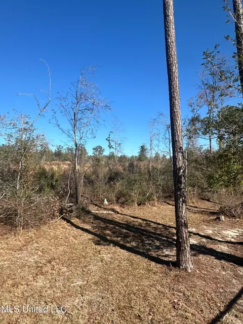 1224 Country Hill Rd # A, Lucedale, MS 39452 photo 21