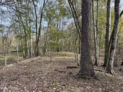 00001 Hwy 51, Pickens, MS 39146