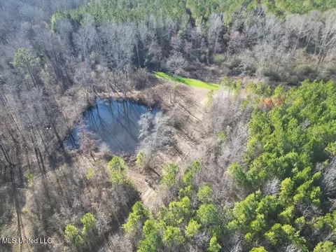 9307 Ms 28 # A, Fayette, MS 39069