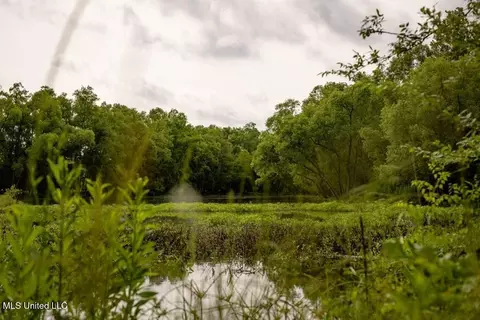 1017 Insemore Pl, Hermanville, MS 39086