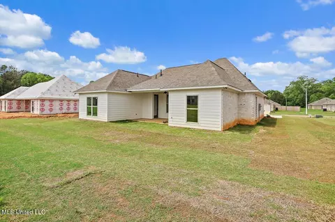 Exterior - 227 Jasmine Cove Cir, Brandon, MS 39042 photo 3 of 4