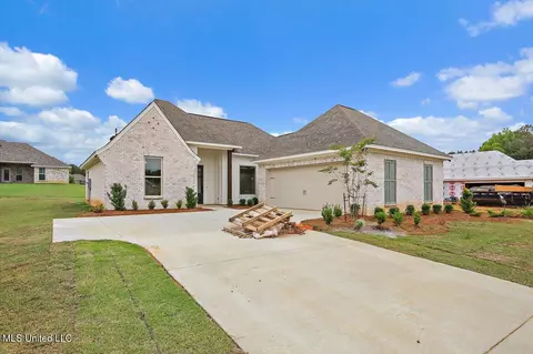 Other - 227 Jasmine Cove Cir, Brandon, MS 39042 photo 1 of 9