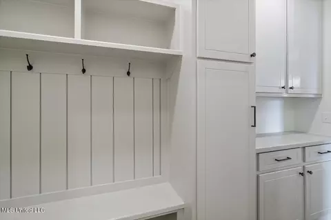 Other - 227 Jasmine Cove Cir, Brandon, MS 39042 photo 5 of 9