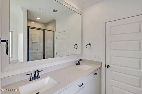Bath - 227 Jasmine Cove Cir, Brandon, MS 39042 photo 1 of 3