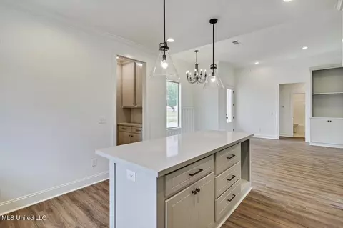 Other - 227 Jasmine Cove Cir, Brandon, MS 39042 photo 3 of 9