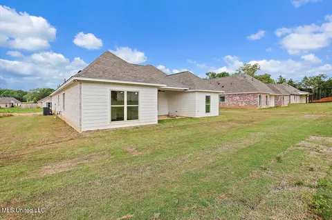 Exterior - 227 Jasmine Cove Cir, Brandon, MS 39042 photo 4 of 4