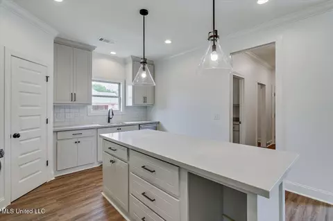 Kitchen - 227 Jasmine Cove Cir, Brandon, MS 39042 photo 3 of 3