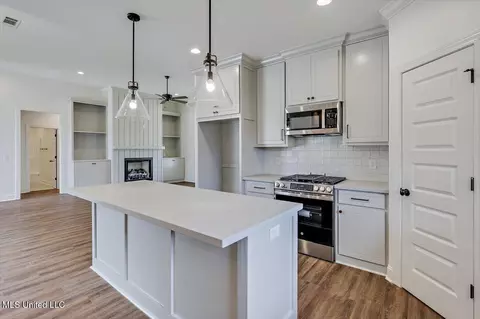 Kitchen - 227 Jasmine Cove Cir, Brandon, MS 39042 photo 2 of 3