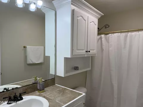 Bath - 328 Fairview Dr, Brandon, MS 39047 photo 2 of 10