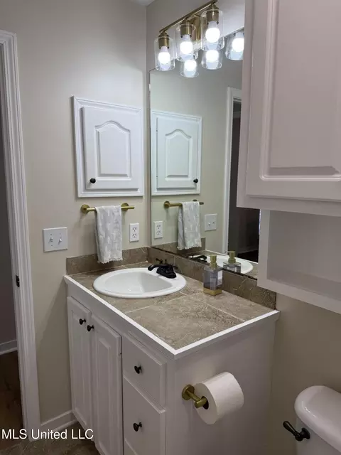 Bath - 328 Fairview Dr, Brandon, MS 39047 photo 4 of 10