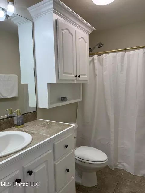 Bath - 328 Fairview Dr, Brandon, MS 39047 photo 1 of 10
