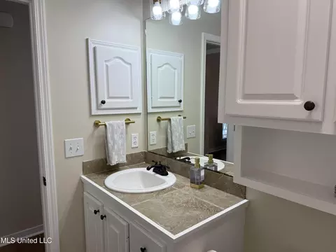 Bath - 328 Fairview Dr, Brandon, MS 39047 photo 3 of 10