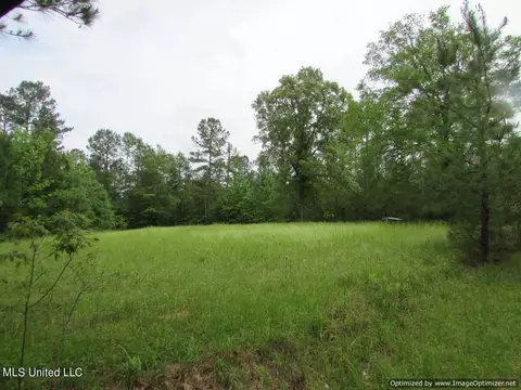 lot1 Permenter Rd, Canton, MS 39046 photo 6
