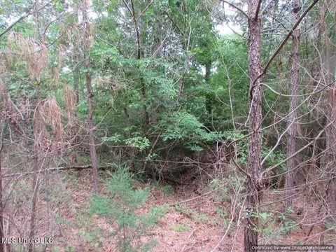 lot1 Permenter Rd, Canton, MS 39046 photo 13