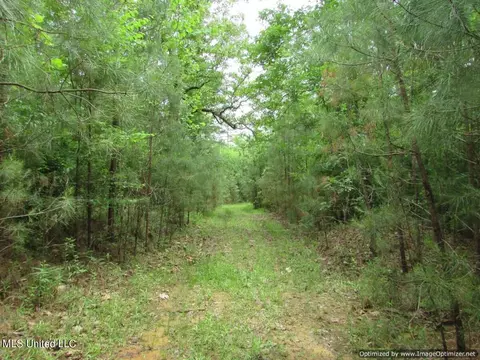 lot1 Permenter Rd, Canton, MS 39046 photo 5