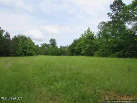 lot1 Permenter Rd, Canton, MS 39046 photo 4
