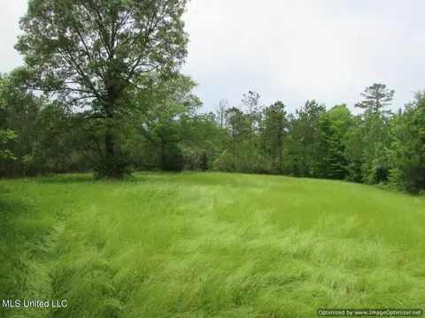 lot1 Permenter Rd, Canton, MS 39046 photo 9