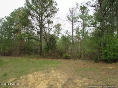 lot1 Permenter Rd, Canton, MS 39046 photo 15