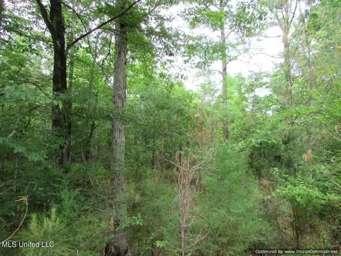 lot1 Permenter Rd, Canton, MS 39046 photo 12