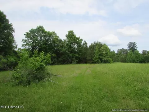 lot1 Permenter Rd, Canton, MS 39046 photo 3