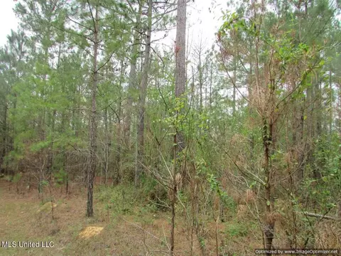 lot1 Permenter Rd, Canton, MS 39046 photo 17