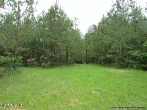 lot1 Permenter Rd, Canton, MS 39046 photo 8