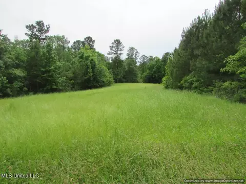 lot1 Permenter Rd, Canton, MS 39046 photo 2