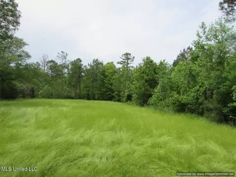 lot1 Permenter Rd, Canton, MS 39046 photo 10