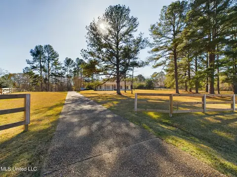 Exterior - 219 Ingleside Dr, Madison, MS 39110 photo 9 of 11
