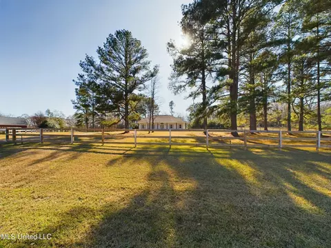 Exterior - 219 Ingleside Dr, Madison, MS 39110 photo 10 of 11