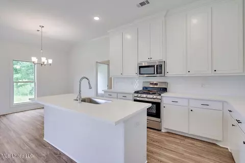 Kitchen - 412 Baleigh Way, Canton, MS 39046 photo 1 of 4