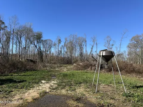 Wesson Game Lane, Wesson, MS 39191 photo 14