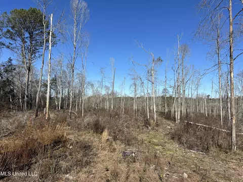 Wesson Game Lane, Wesson, MS 39191
