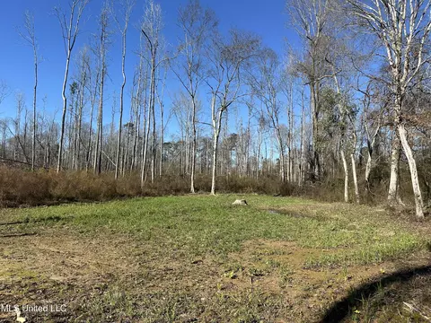 Wesson Game Lane, Wesson, MS 39191 photo 23