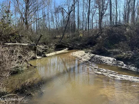 Wesson Game Lane, Wesson, MS 39191 photo 16