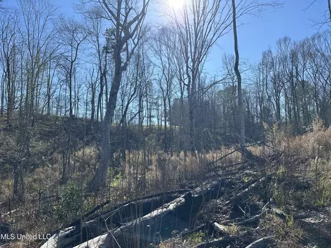 Wesson Game Lane, Wesson, MS 39191 photo 12