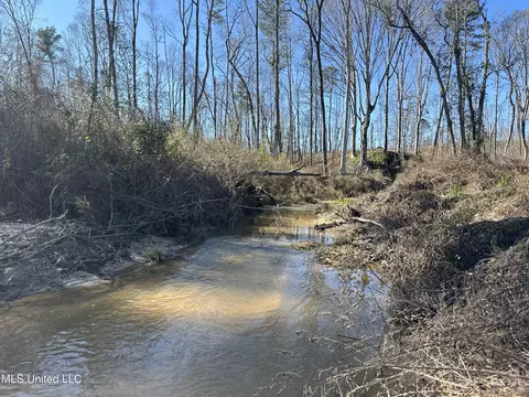 Wesson Game Lane, Wesson, MS 39191 photo 17
