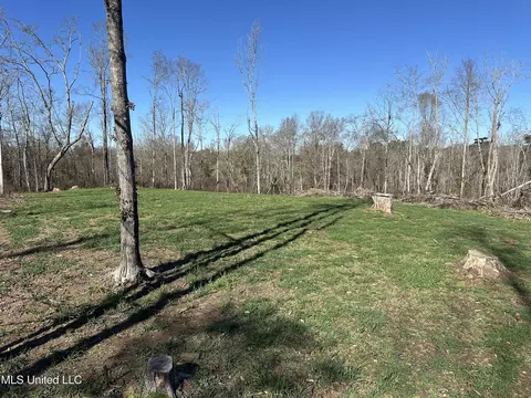 Wesson Game Lane, Wesson, MS 39191 photo 4