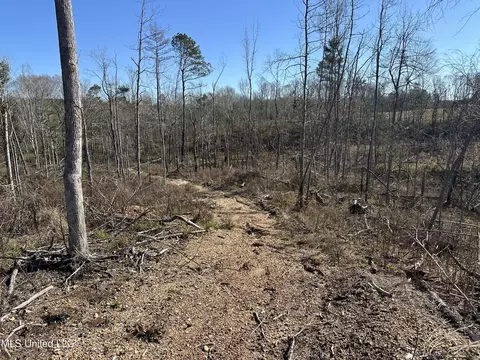 Wesson Game Lane, Wesson, MS 39191 photo 10