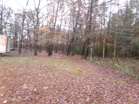 Exterior - 135 Hebron Rd, Randolph, MS 38864 photo 2 of 3