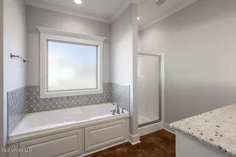 Bath - 241 Tucker Dr, Brandon, MS 39042 photo 2 of 3