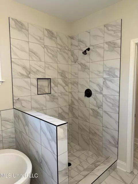 Bath - 690 Lucas Ln, Hernando, MS 38632 photo 2 of 4