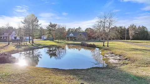 Other - 1274 Wade Patrick Rd, Brandon, MS 39042 photo 15 of 16