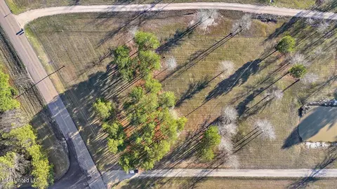 View/Area - 1274 Wade Patrick Rd, Brandon, MS 39042 photo 9 of 14