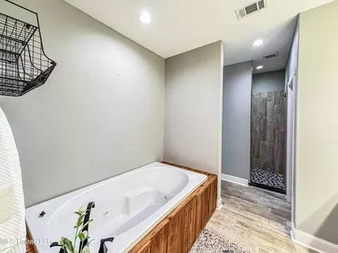 Bath - 1274 Wade Patrick Rd, Brandon, MS 39042 photo 3 of 5
